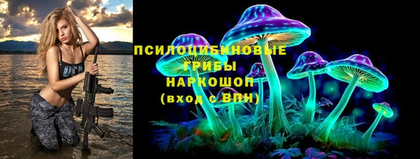 ГАЛЛЮЦИНОГЕННЫЕ ГРИБЫ Карпинск