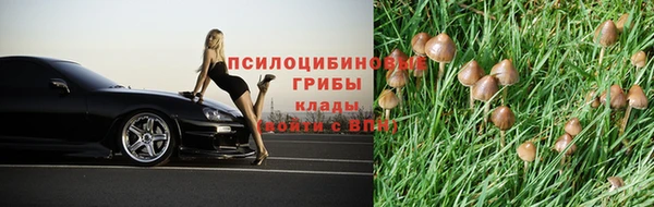 Альфа ПВП Алзамай