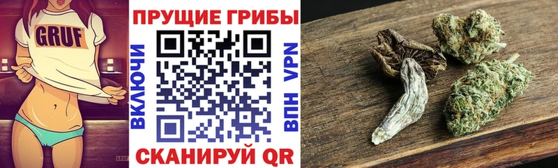 mega tor  даркнет наркотические препараты  Галлюциногенные грибы Cubensis  цена наркотик  Туймазы 